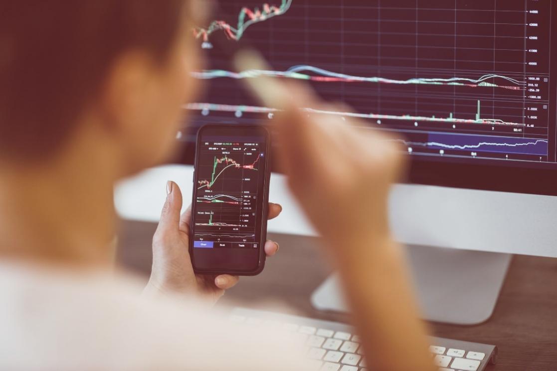 Finanční analýza a plánování — detail práce